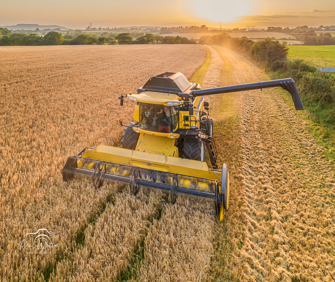 09 September - Campile Harvest